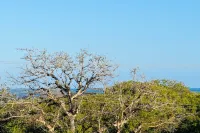 Stunning 2 Bedroom Apartment in Diani, Kenya - Perfect Beach Getaway - 2 Sao