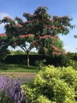 Fasthotel Saint-Amand-Montrond Orval - parking