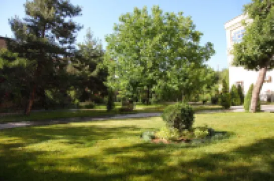 Orient Star Hotel Hotel di 