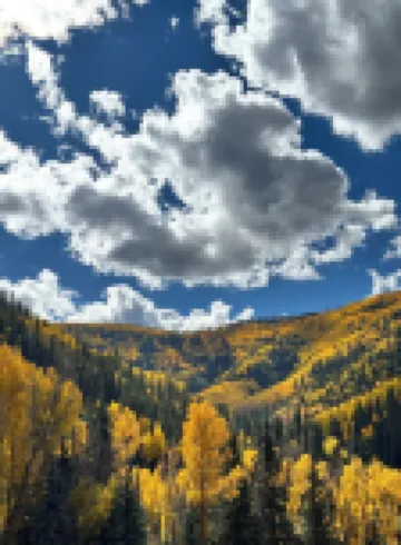 Pet-Friendly Family Lodge Fully Stocked Kitchen Fire Pit WiFi Kids Toys