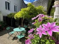 Hotel de la Sologne Hotels in Beaugency