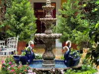 Copa de Oro Hotel Boutique Hotels in Mascota