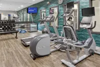 Holiday Inn & Suites DALLAS-ADDISON by IHG - Gym