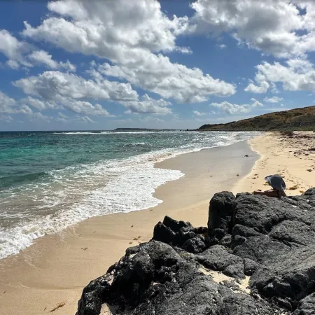 Your Half-Day Cruise with Scenic Zephyr and Water Activities