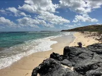 Your Half-Day Cruise with Scenic Zephyr and Water Activities