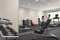 Holiday Inn Express & Suites BUFORD NE - LAKE LANIER by IHG - gimnasio