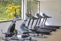Zafiro Rey Don Jaime - Gym