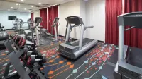 Holiday Inn & Suites STOCKBRIDGE/ATLANTA I-75 by IHG - Gym