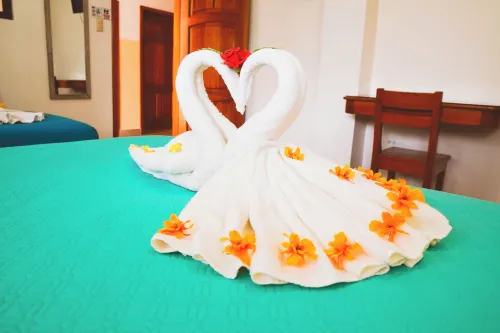 Hostal España - خدمة نقل من وإلى المطار