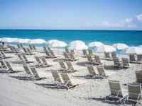 Beach Club at the Boca Raton - Resorts