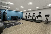 Hampton Inn & Suites by Hilton Ruskin I-75 - Gym
