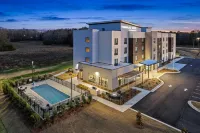 TownePlace Suites by Marriott Opelika Auburn - Wi-Fi
