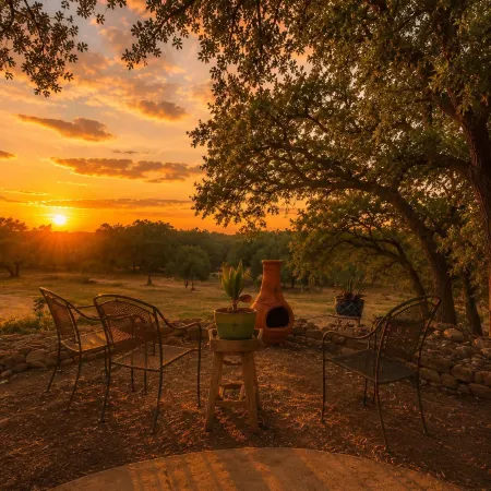Cactus Flower Treehouse-Pet Friendly-Hill Country Views!