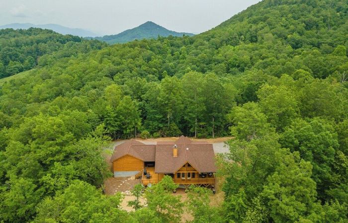 Dream Mtn Hideaway! Hot Tub+Fire Pit+Grill, WiFi, Hiking, Nearby Avl & Blk Mtn!