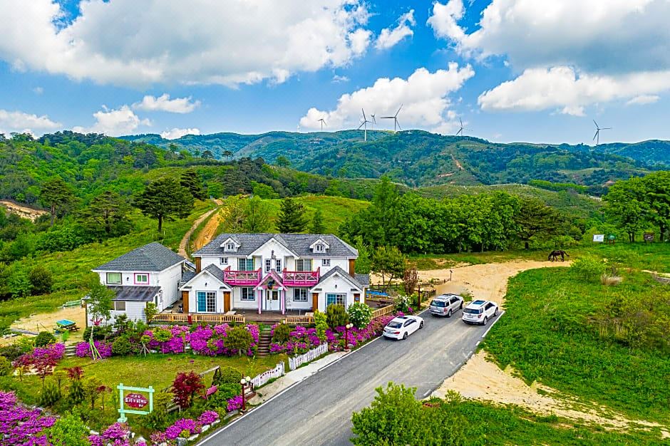 풍차랑허브랑펜션 사진