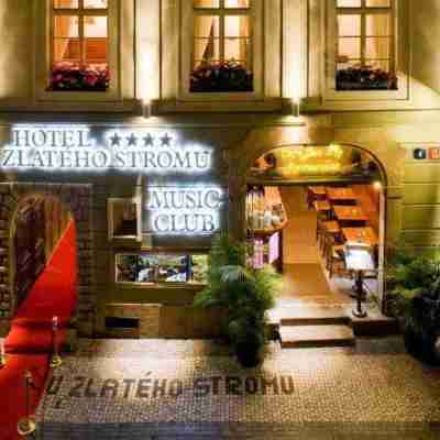 金樹飯店 Hotel Exterior