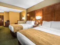 Comfort Suites Madison West Hotéis em Madison