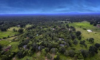 Pench Jungle Camp