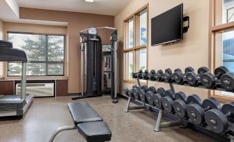 Microtel Inn & Suites by Wyndham Estevan
