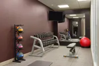 DoubleTree by Hilton Toronto Downtown - Phòng tập thể hình