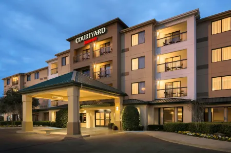 Courtyard Dallas Mesquite Отели в г. Мескит