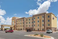 Comfort Inn & Suites Hotels in Edgewood