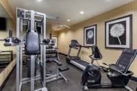 Best Western Plus DFW Airport West Euless - Gym