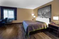 Super 8 by Wyndham South Holland Hotels in Homewood
