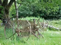 Hendre Aled Cottage 1 - Ramah Hewan Peliharaan
