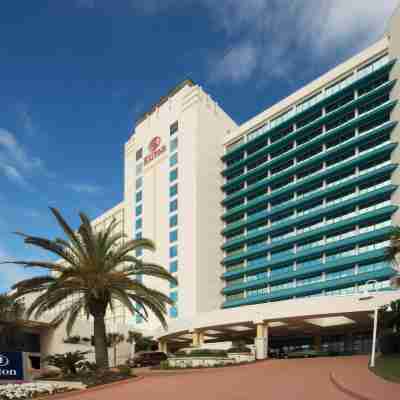 Hilton Daytona Beach Oceanfront Resort Hotel Exterior