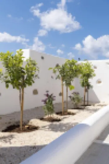 Drios Luxury Studios