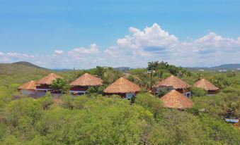 Palm Valley Cabins