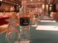 Imperial Palace Hotel - Business