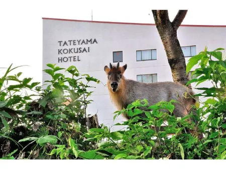 Tateyama Kokusai Hotel Отели рядом с достопримечательностью «Shōmyō Waterfall Observation Square.»