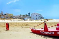 Zafran Boutique Hotel - Ocean View