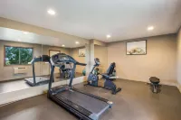 Best Western Mt. Pleasant Inn - gimnasio