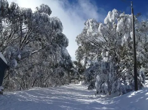 佛斯奎克山複式小屋公寓