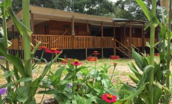 Hostal Cano Nevera