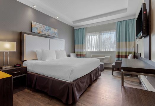 베스트 웨스턴 플러스 브루클린 베이 호텔