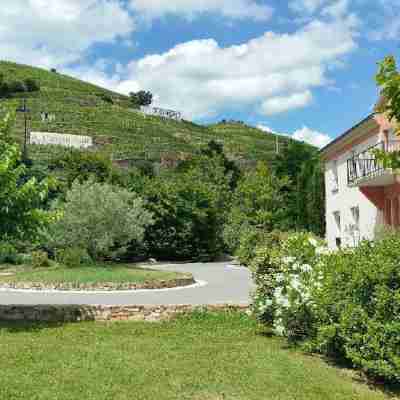 Hôtel Le Domaine des Vignes Hotel Exterior