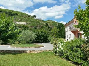 Hôtel le Domaine des Vignes Ampuis Lyon Sud Vienne