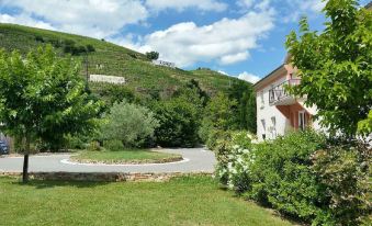 Hotel le Domaine des Vignes Ampuis Lyon Sud Vienne