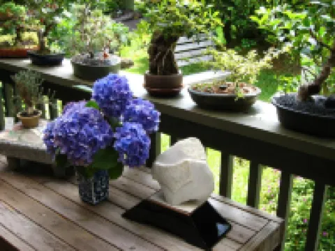 Volcano Artist Cottage