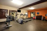 Hampton Inn Collinsville - Gym