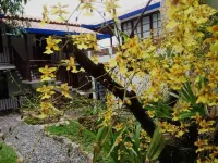 Casa Rayma Hotel Boutique Hotels in Контратасьон