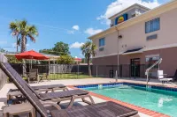 Spark by Hilton Mansfield - piscine
