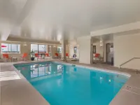 Best Western Plus the Four Corners Inn Hotels in Farmington