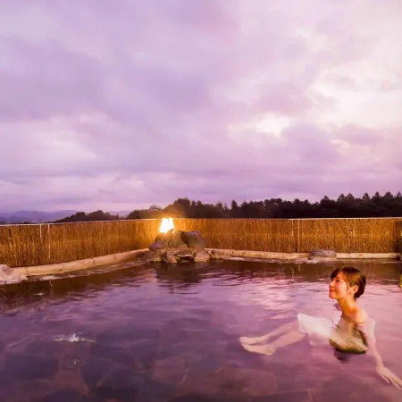 Hotel Morinokaze Oshuku