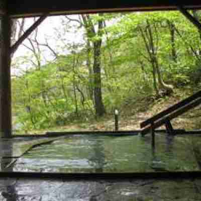 遊佐屋旅館 Rooms