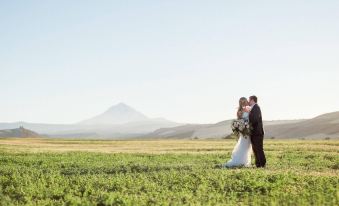 a bride and groom are standing in a field , embracing each other while holding their wedding bouquet at Balch Hotel